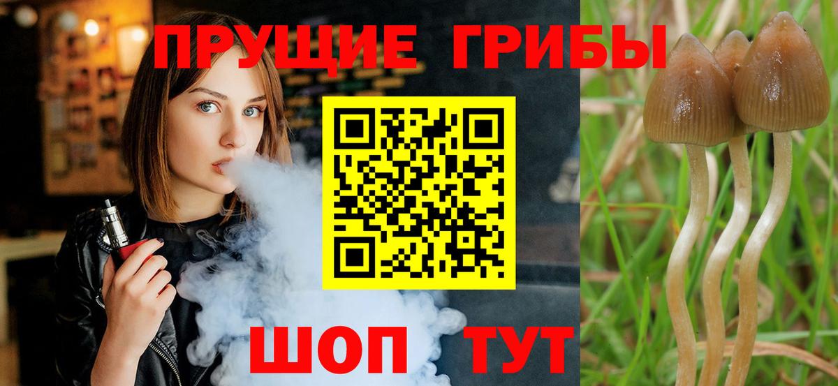 Псилоцибиновые грибы GOLDEN TEACHER  Псилоцибиновые грибы Cubensis  Вход с VPN  Тельмана 